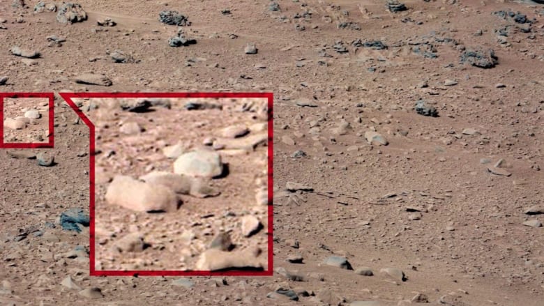 بالفيديو.. امرأة وفئران وبطة على سطح المريخ.. ماحقيقة هذه الصور؟