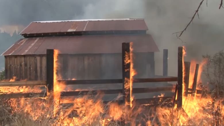 حرائق غابات ضخمة في كاليفورنيا تدمر أكثر من 500 منزل