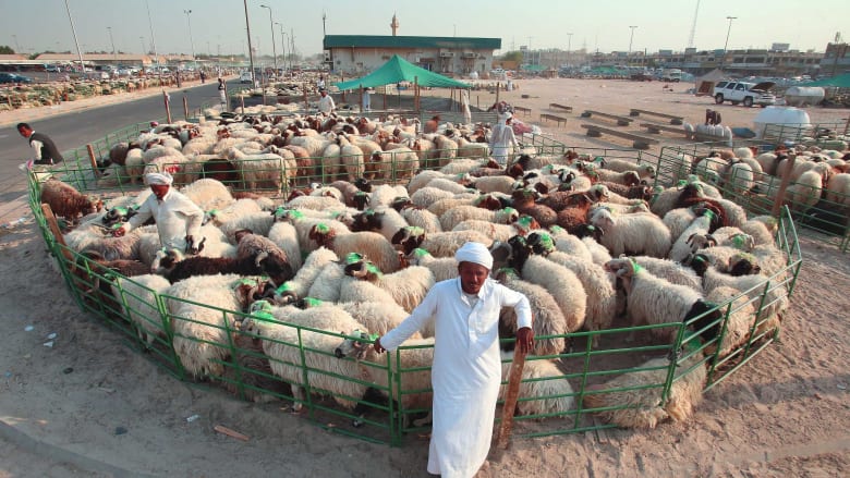 بائع أغنام ينتظر قدوم المشترين في أحد الأسواق بالكويت بائع أغنام ينتظر قدوم المشترين في أحد الأسواق بالكويت