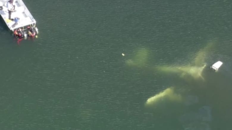 بالفيديو.. مقتل طيار ومرافقته بتحطم طائرة صغيرة في بحيرة بفلوريدا
