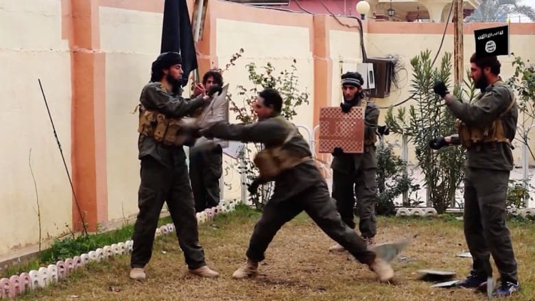 بالفيديو: أين يقف العرب في الحرب الدولية ضد تنظيم داعش؟