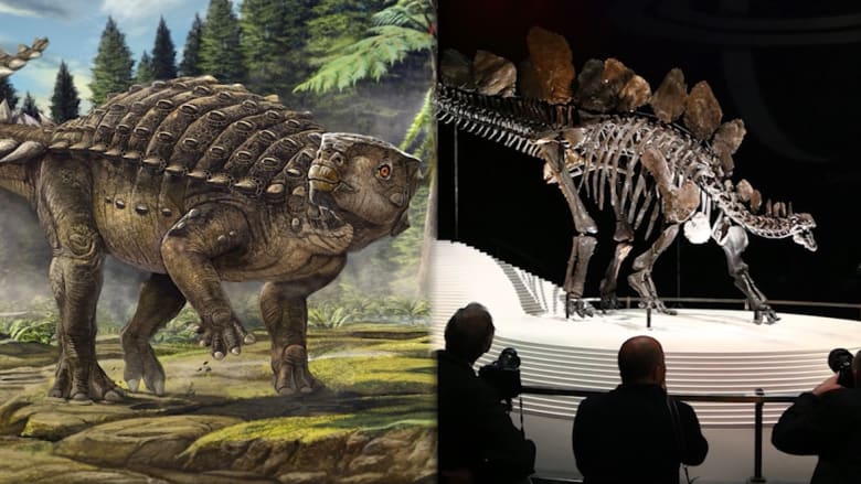 باحثون يكتشفون فصيلة جديدة للديناصورات بعد 26 عاماً من العثور على الهيكل العظمي