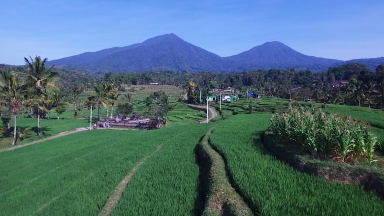 تجول فوق حقول الأرز الرائعة في جزيرة بالي الإندونيسية بـ60 ثانية فقط