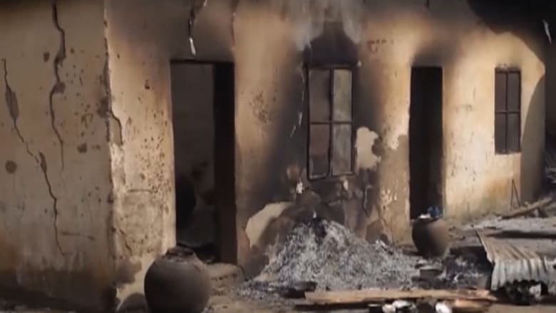بالفيديو: بوكو حرام تحرق بلدة بأكملها وتقتل 46 شخصاً في نيجيريا