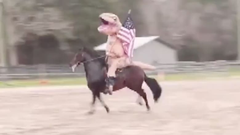 بالفيديو: رجل "يتحامق" على ظهر حصان وهو يرتدي زي ديناصور