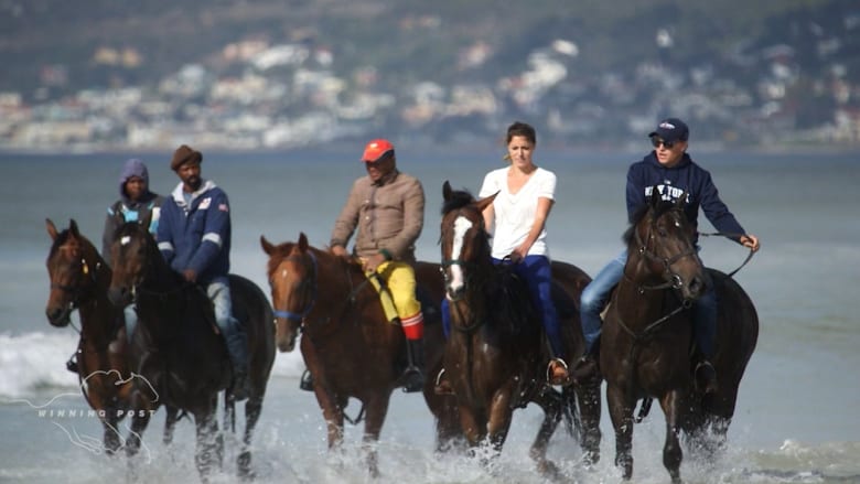 بالفيديو: رحلات على الشاطئ لإعداد أفضل خيول السباق في جنوب أفريقيا