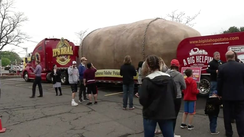 بالفيديو: حبة بطاطس عملاقة تتجول في شوارع أمريكا.. والسبب!