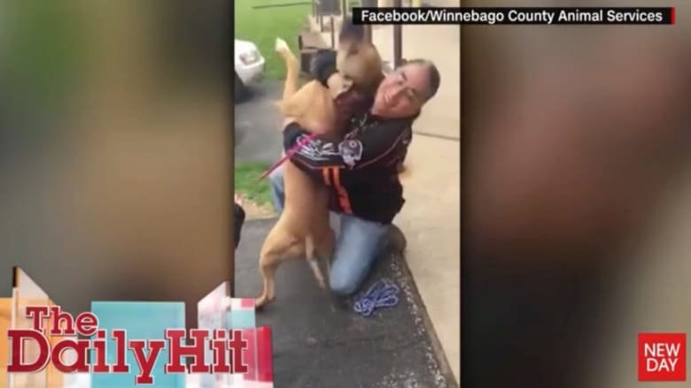 بالفيديو: شاهدوا ردة فعل كلب لقي صاحبه بعد فراق طويل