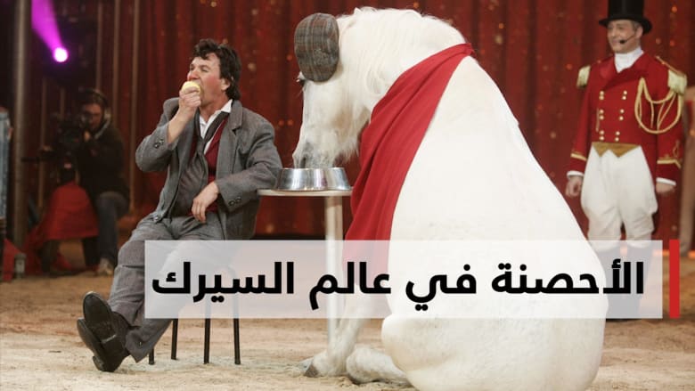 معلومة سريعة.. هل تعرف كيف ظهرت الأحصنة بالسيرك؟
