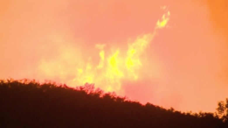 بالفيديو: حرائق في غابات كاليفورنيا والدفاع المدني يجلي 250 عائلة