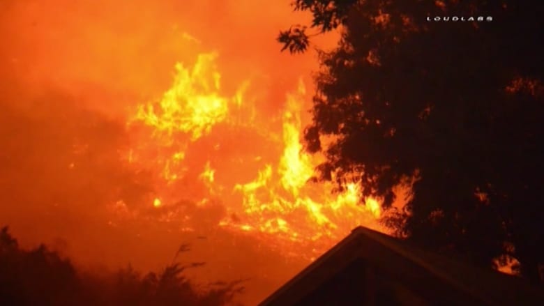 بالفيديو: حرائق الغابات تتسع في كاليفورنيا رغم جهود الدفاع المدني