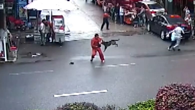 شاهد.. كلب "مسعور" يهاجم أكثر من عشرين صينياً في الشوارع