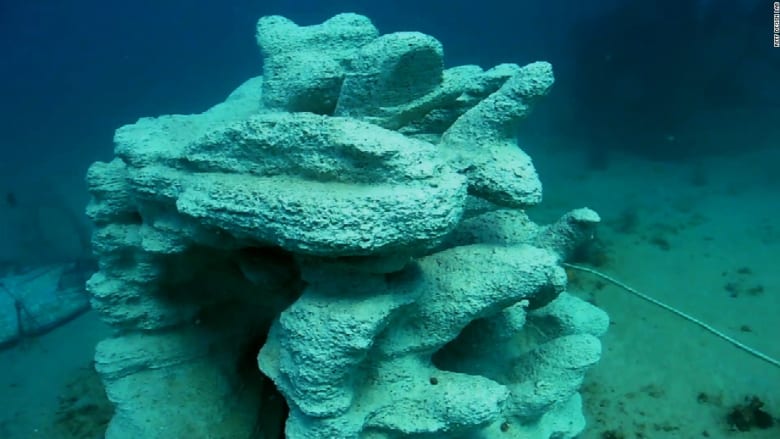 البحرين أول دولة توضع في مياهها الشعاب المرجانية المطبوعة بتقنية 3D