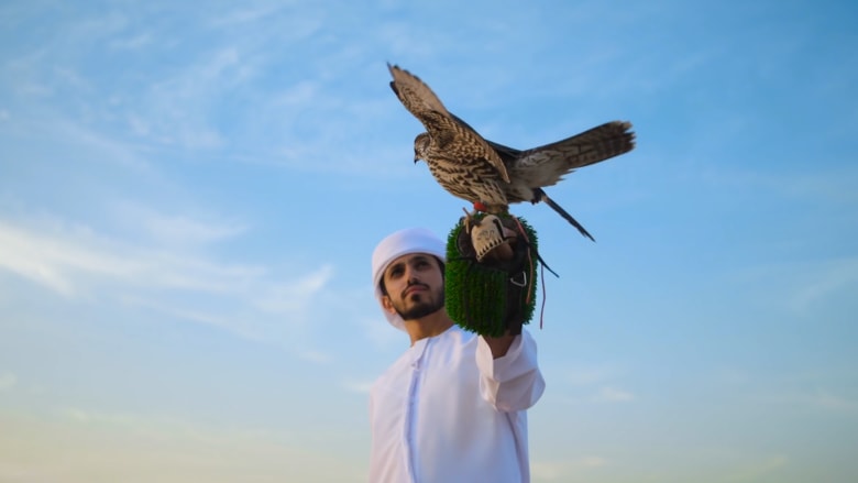 كيف تُدرب الصقور للسباقات في دبي؟