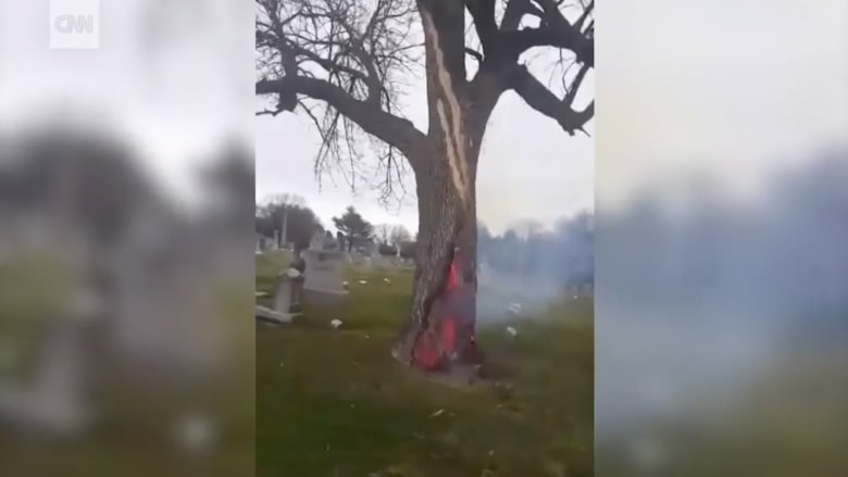 حدث غريب.. شاهد ماذا حدث لشجرة داخل مقبرة ضربتها صاعقة!
