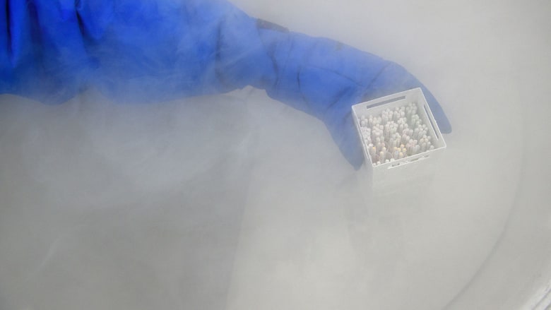 https arabic cnn com health 2017 05 15 sleep expert tips partner