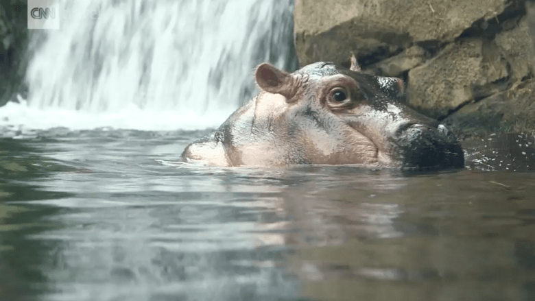 الحياة البرية Cnn Arabic