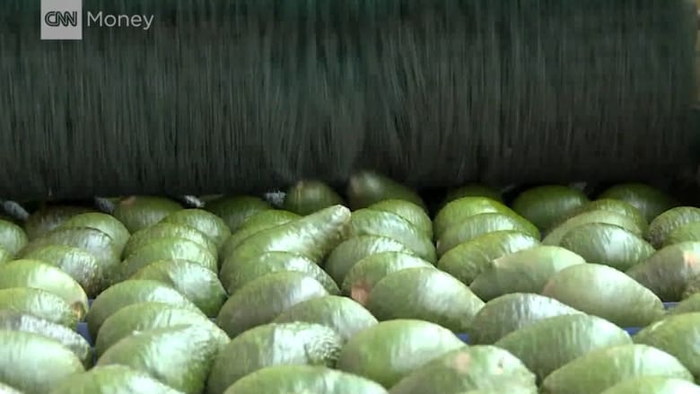 لماذا ارتفع سعر فاكهة الأفوكادو بأكثر من 125% في 2017؟