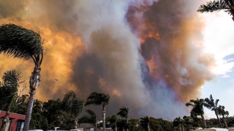 عشرات المنازل دمرت بحرائق غابات في أستراليا