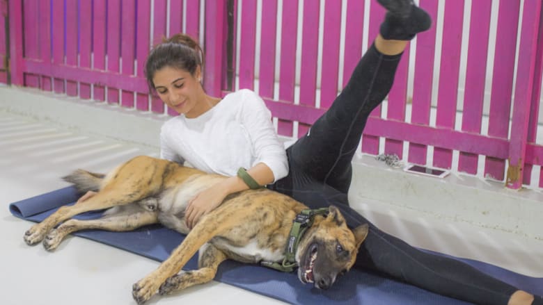 صرعة جديدة لممارسة الرياضة في دبي..مع الكلاب