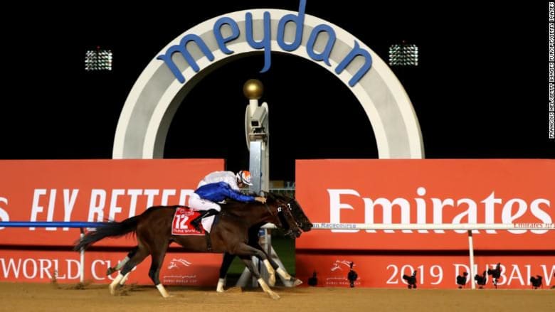 أبرزها برعاية دبي وقطر.. تعرفوا إلى أغلى خمسة سباقات للخيول في العالم