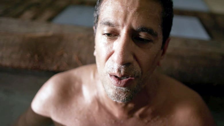 قد يكون هذا الحمام الياباني غير قانوني في أمريكا.. ما السبب؟