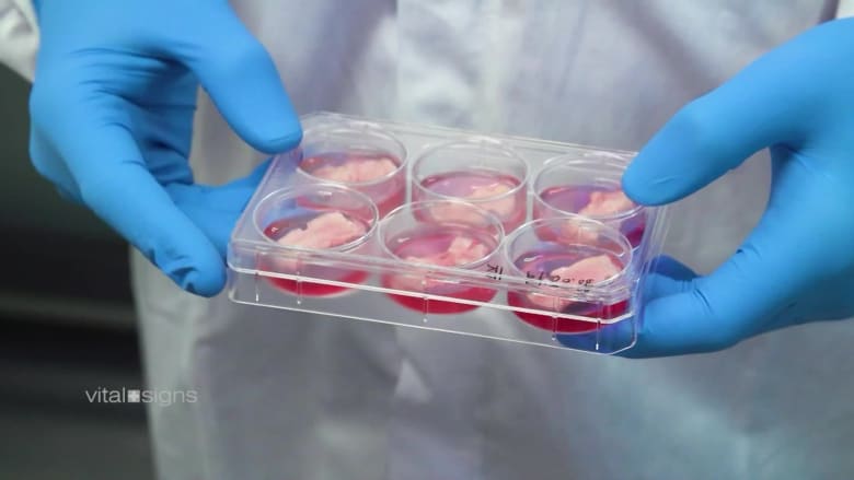 شريحة لحم مزروعة في مختبر قد تحدث قفزة عملاقة في قطاع الطعام