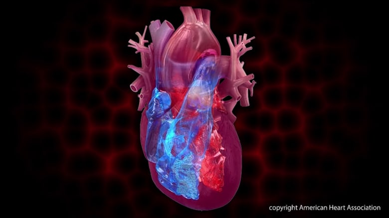 5 نصائح للأشخاص الذين يعانون من قصور القلب