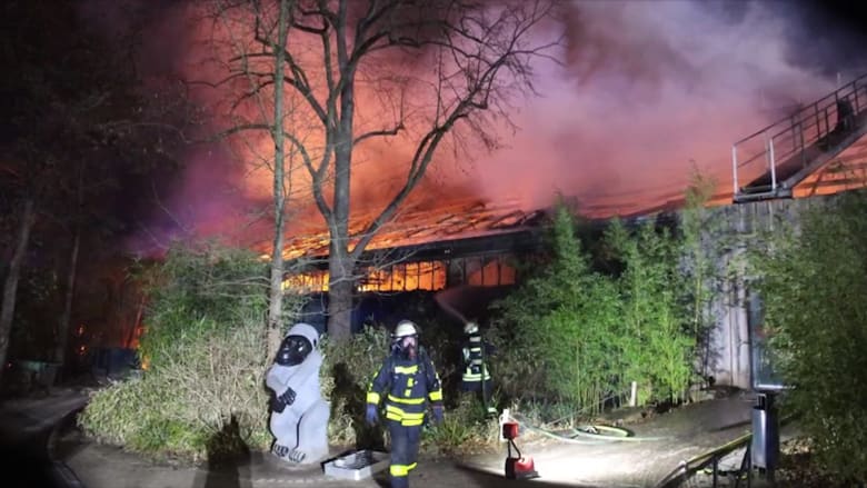 حريق في حديقة حيوانات بألمانيا يقتل العشرات منها