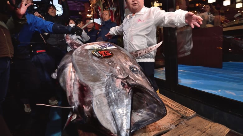 كيمورا “ملك التونة” يشتري سمكة عملاقة بـ1.8 مليون دولار