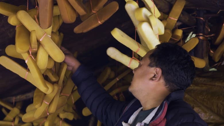 جرب أقسى جبنة في العالم بأعلى جبال الهيمالايا