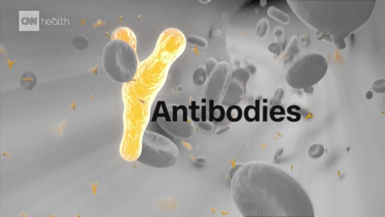 كيف تحمينا الأجسام المضادة من الفيروسات؟
