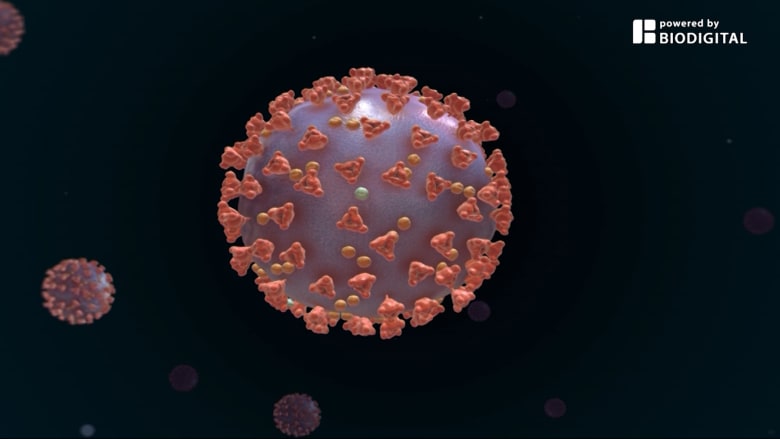 دراسة تظهر أن نسمة خفيفة قد تنقل قطرات فيروس كورونا لأكثر من 5 أمتار