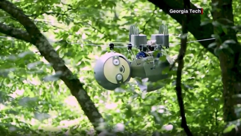  روبوت يشبه الدب الكسلان يتسلل ببطء بين الأشجار لمراقبة الحيوانات