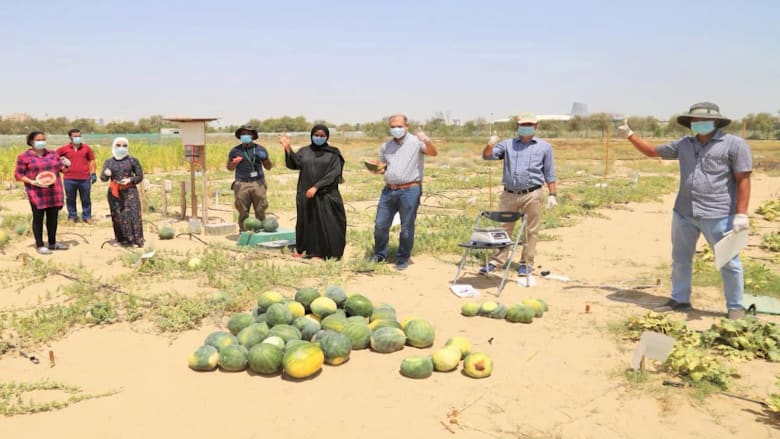 شركة قد تساعد بتحويل الصحراء إلى تربة صالحة للزراعة.. وتجاربها في دبي