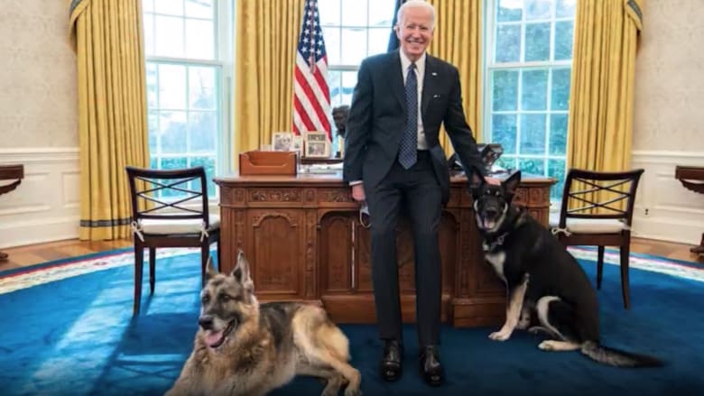 أحدهما عض رجل أمن.. نقل كلبي بايدن إلى خارج البيت الأبيض