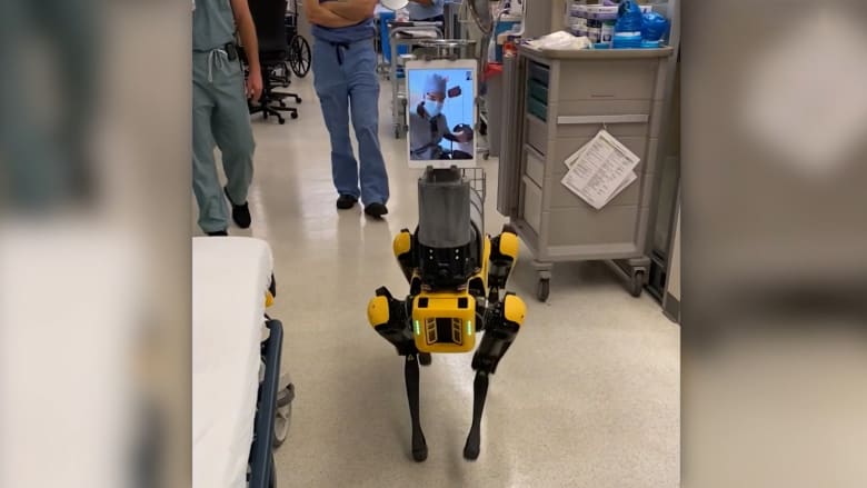 كلب روبوتي يعمل في قسم الطوارئ ويساعد الأطباء في التعامل مع المرضى