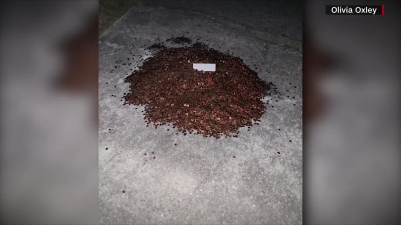Beware that you make him angry ... a company president pays a former employee his dues with thousands of cents of metal