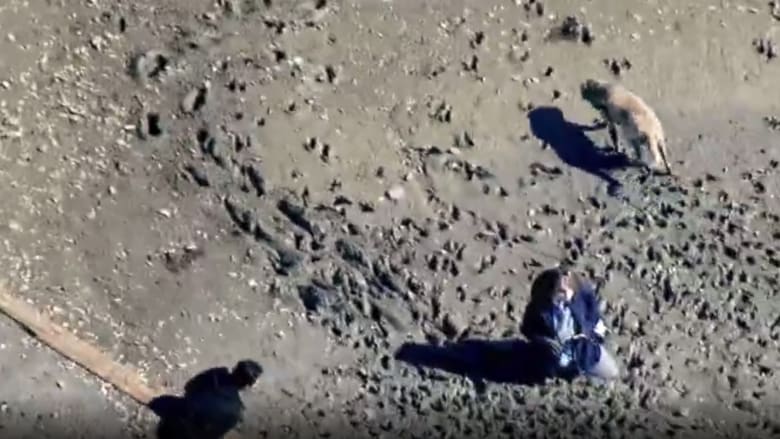 كاميرا ترصد ما حدث لإمرأة علقت في الوحل حتى خصرها