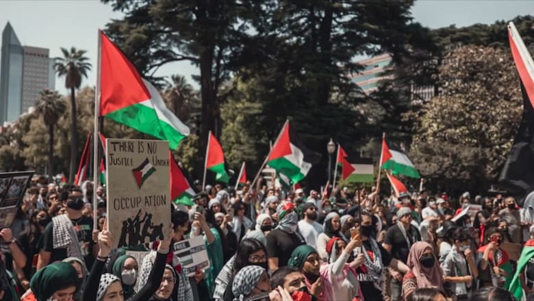 مظاهرات تضامنية مع الفلسطينيين في مدن أمريكية