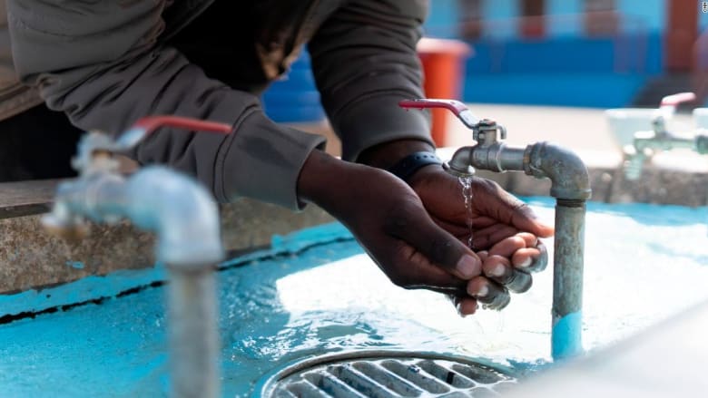 ابتكار لتنقية المياه بقشور جوز المكاديميا في جنوب أفريقيا
