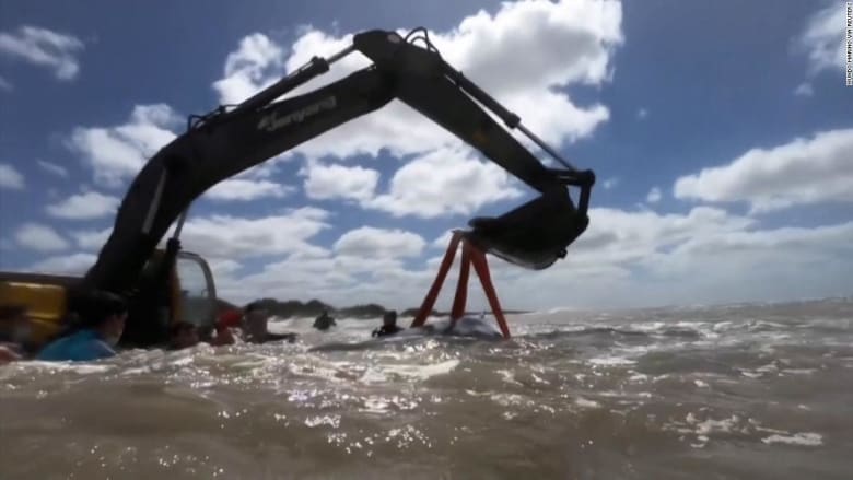 211006153400-screengrab-whale-stranded-in-argentina-super-169.jpeg
