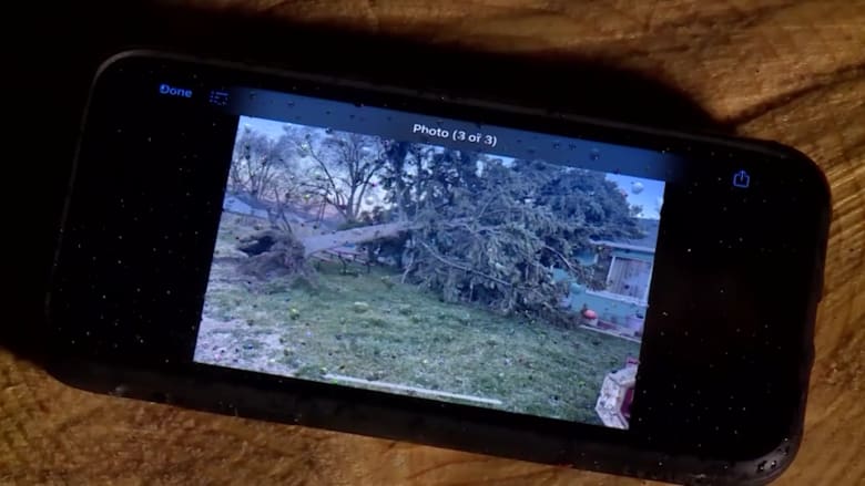 شاهد.. عاصفة تُسقط شجرة على منزل رجل نائم