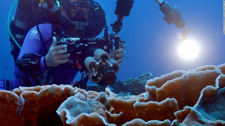 اكتشاف شعاب مرجانية عملاقة في أعماق مياه جزيرة بالمحيط الهادي