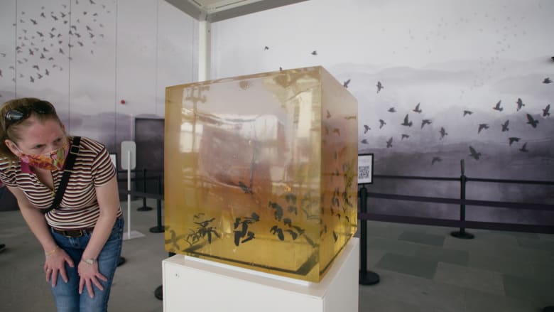 سرب من الطيور المتحجرة.. كيف يعرض هذا العمل الفني بإكسبو 2020 دبي رؤيتة لمستقبل غير مؤكد؟