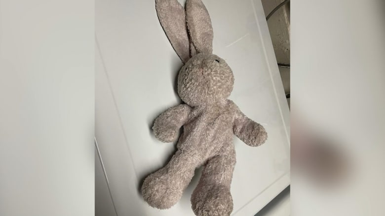 امرأة تبحث عن صاحب لعبة أرنب عثرت عليها خلال نزهة برفقة كلبها.. لاقى رواجًا على الإنترنت