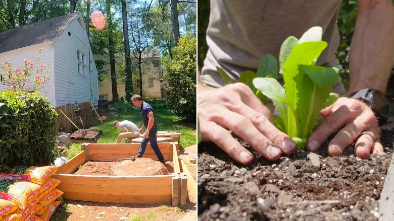 هل تريد زراعة حديقة خضروات في منزلك؟ إليك نصائح سهلة لكيفية البداية