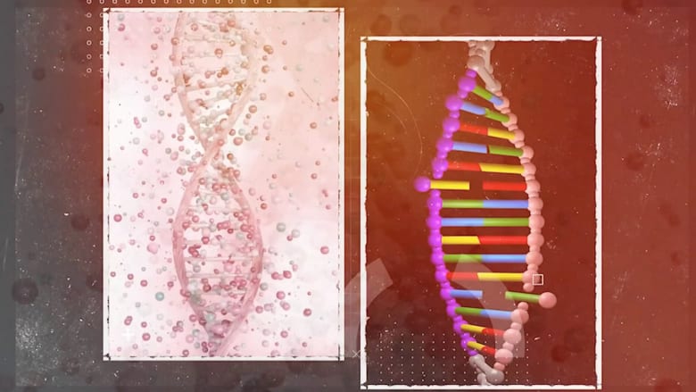 عالم في جامعة هارفارد يستكشف عملية تحرير الجينات البشرية المسببة لآلاف الأمراض الوراثية