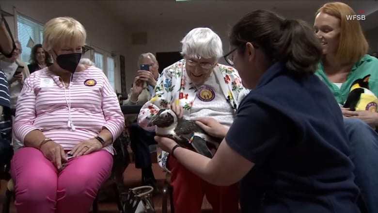 شاهد لحظة حمل جدة تبلغ 104 أعوام لبطريق..حققت حلم حياتها