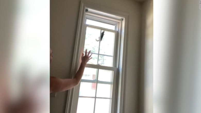 كاميرا ترصد رد فعل امرأة تفاجأت بسنجاب في منزلها.. شاهد ما فعله كلبها